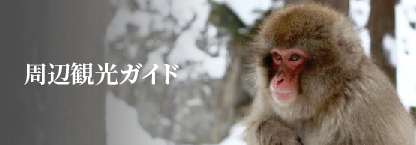 周辺観光ガイド